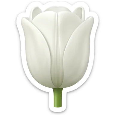 White tulip sticker