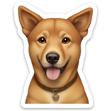 All brown Jindo dog with tortoise shell coloring, without any white fur sticker