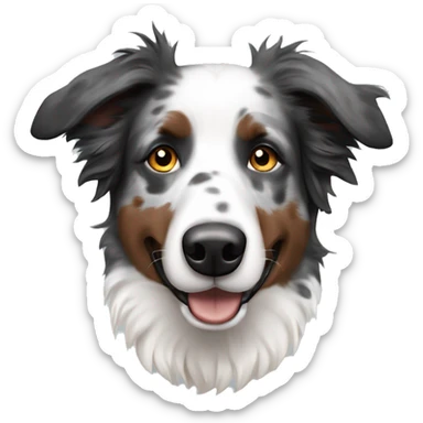 Merle border collie sticker