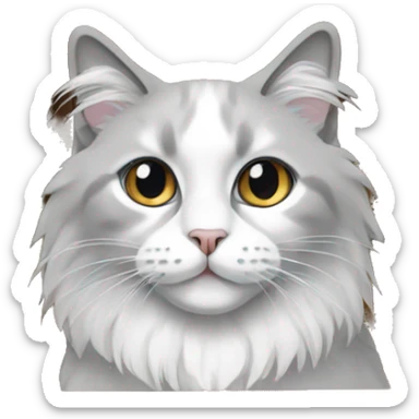 A White and Grey Ragdoll Cat in a paper box sticker