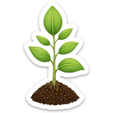 A tiny two leaf seedling coming out of a seed without any mud or gravel just a seed sticker