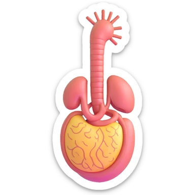 stomach, medical illustration sticker
