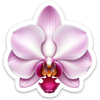 Beautiful phalaenopsis moth orchid flower with delicate petals and distinctive shape sticker