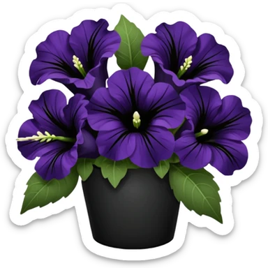 Realisti5 detailed beautiful bouquet of black color Petunia's sticker