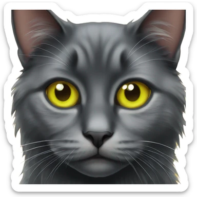 Black long haired cat yellow green eyes sticker