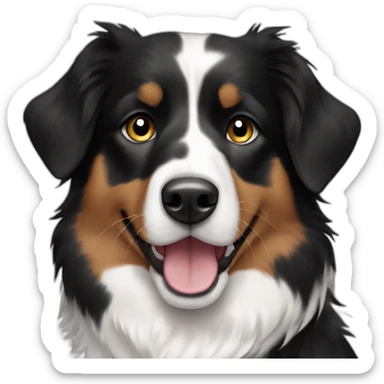 Black and white tricolor Australian shepherd sticker