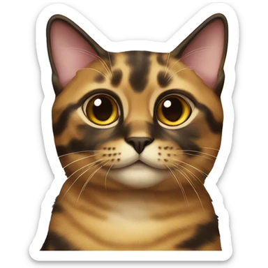 tortishell cat  sticker