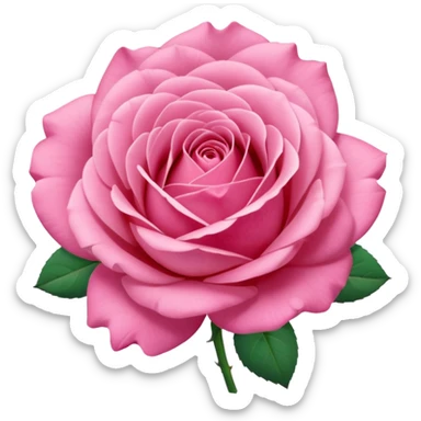 “A Polaroid photo of a pink rose  sticker