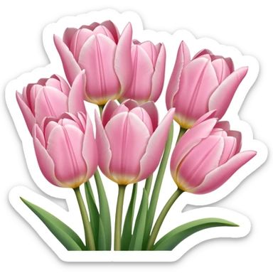 Cute boutique of light pink tulips  sticker