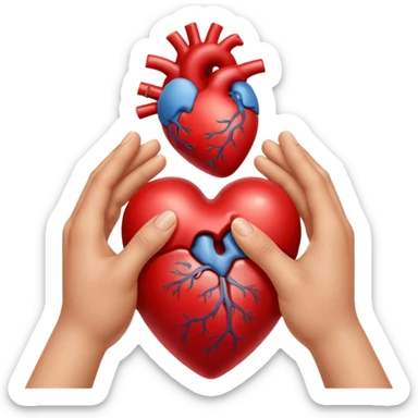 Two hands facing right, cupping a realistic heart sticker