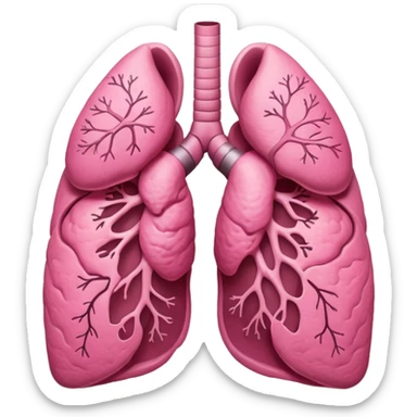 lungs sticker