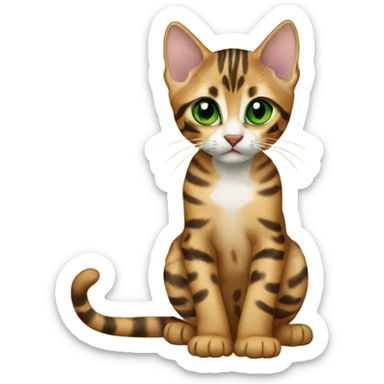 bengal kitten with green eyes sticker