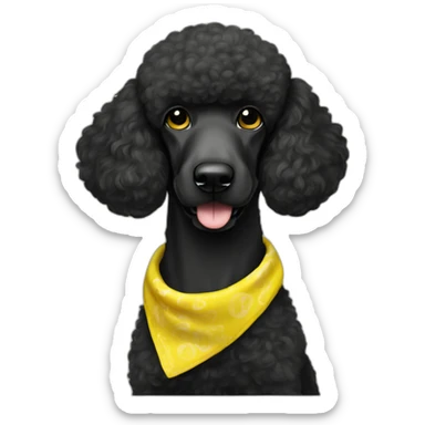 A black standard poodle with a yellow bandana sticker