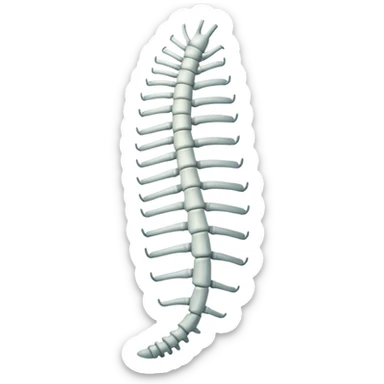Coluna vertebral sticker