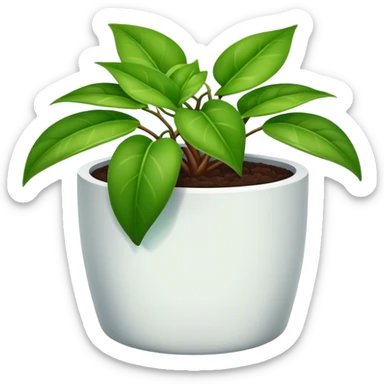 A Hoya Plant in a pot sticker