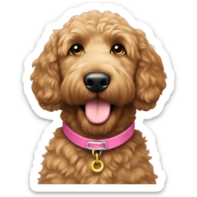 Golden doodle dark brown with pink collar sticker