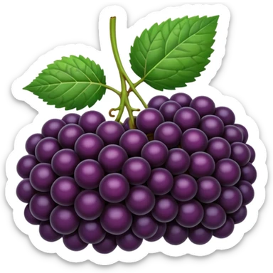 blackberryies sticker