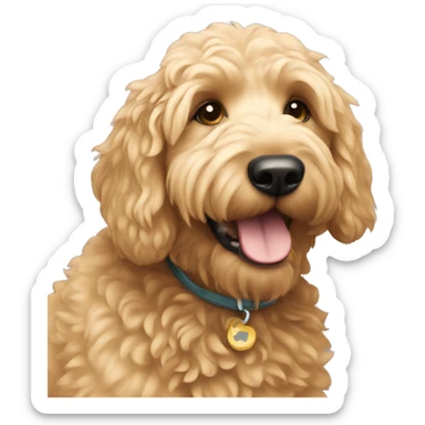 Golden doodle  sticker