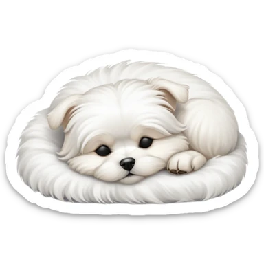 Maltese dog sleeping sticker