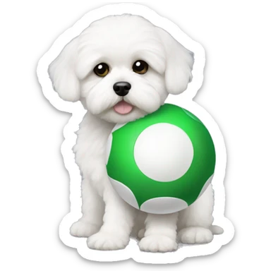 Little white Shihpoo holding a green ball sticker