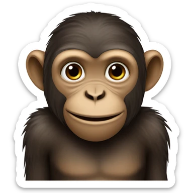 Monkey with name Sara sticker