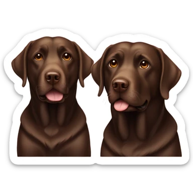 Two adult chocolate labradors  sticker