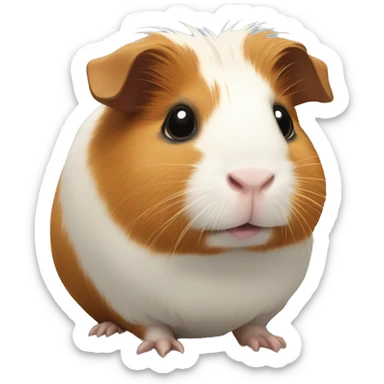 Guinea pig sticker