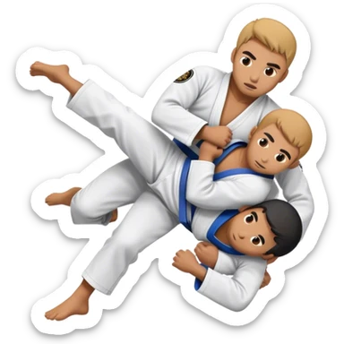 jiu jitsu choke sticker