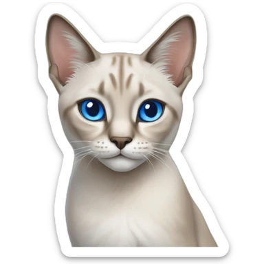 lynx point siamese cat with blue eyes casting a wizard spell sticker