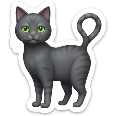 full body view of beautiful female solid dark grey cat with green eyes, grey face, white toes and white patch on chest sticker