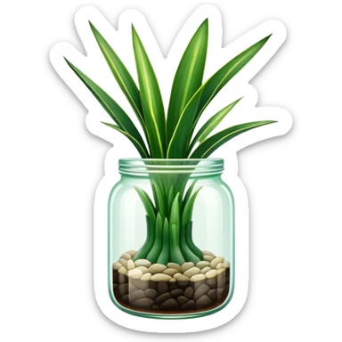 Sansevieria plant with straight vertical leaves in glass jar pot sticker