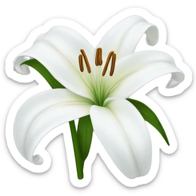 White lily  sticker