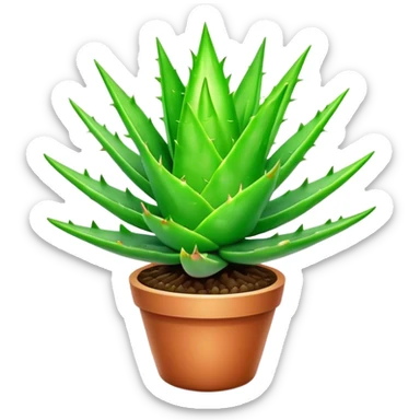 Cinematic Realistic Aloe Vera Emoji, Plump and succulent, with thick, fleshy leaves arranged in a star-like rosette. The vibrant green leaves have a slightly spiky texture, exuding a sense of resilience and healing. Soft glowing outline, capturing the essence of natural wellness and desert vitality in a flourishing aloe vera plant! sticker