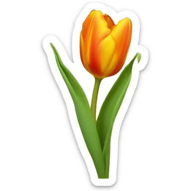Orange and yellow tulip ￼ sticker