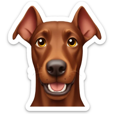 Red Doberman without cropped ears face facing front happy expression  sticker