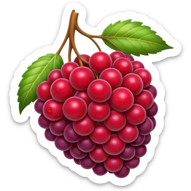 frutti di bosco sticker