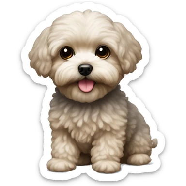 Maltipoo sticker