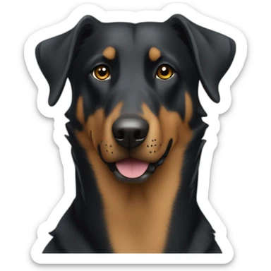 staff croisé beauceron sticker