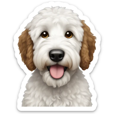 white and black goldendoodle with brown eyes sticker