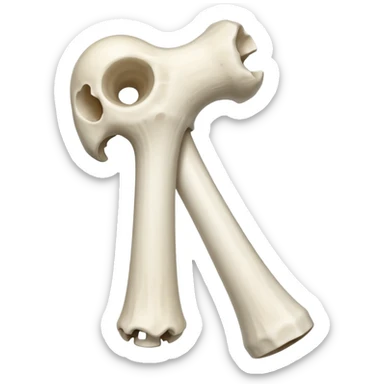 singular humerus bone sticker