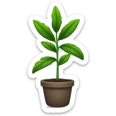  a plant with a thin, slightly hairy green stem. The leaves are oval, pointed, slightly serrated, and dark green in color. They are arranged in opposite pairs along the stem. sticker