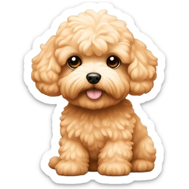Maltipoo dog. Apricot colour. iPhone iOS style  sticker