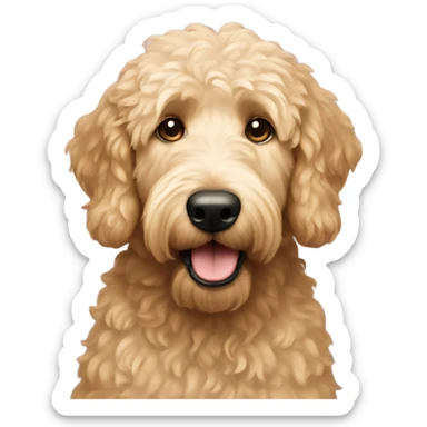 Golden doodle  sticker