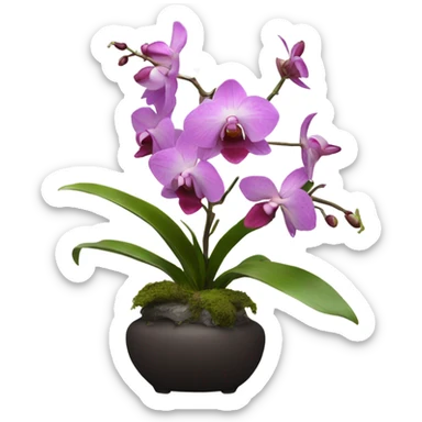Ikebana orchid sticker