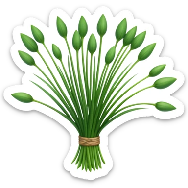 chives herb sticker