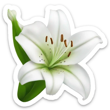 White Liliya flower sticker
