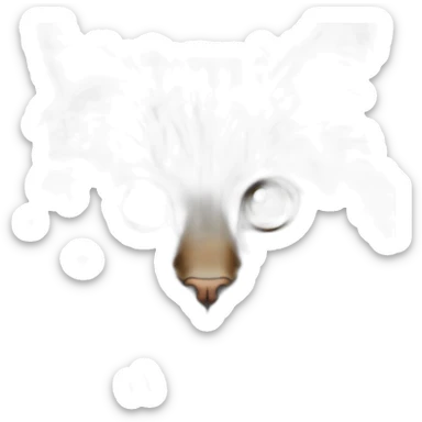 Long haired maincoon tabby kitten sticker