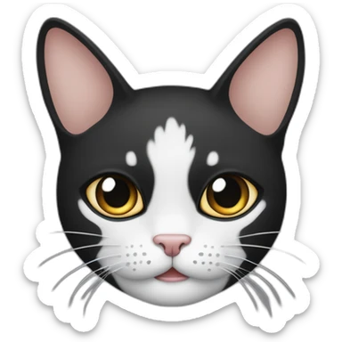 El gato presenta una división en su rostro con la mitad izquierda de color negro y la mitad derecha de color blanco, además de una mancha negra ubicada debajo de la nariz sticker