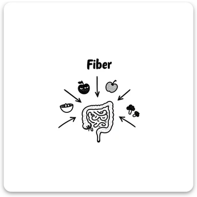 Hand-drawn doodle showing various fiber-rich foods like oats, beans, apples, berries, and broccoli with arrows pointing to a healthy intestine, with text showing 'Fiber' sticker
