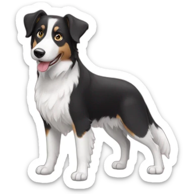 black and white short hair border collie beagle sticker
